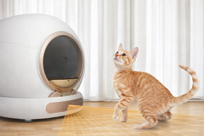 Hoe werken de infrarood- en gewichtssensoren in de automatische kattenbak?