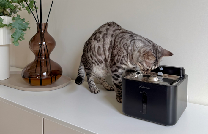 Invloed van een drinkfontein op de nierfunctie bij katten