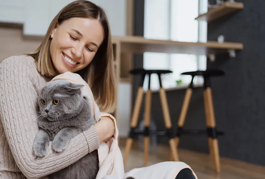 Describes the appearance of the image