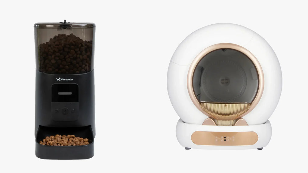 Describes the appearance of the image