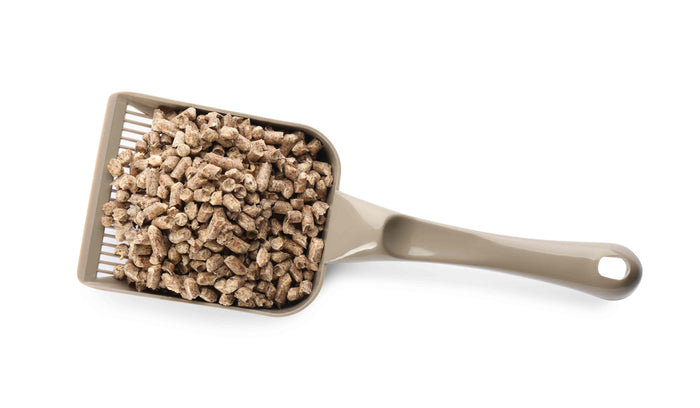 Beste automatische kattenbakvulling: bentoniet, tofu of mineraal?