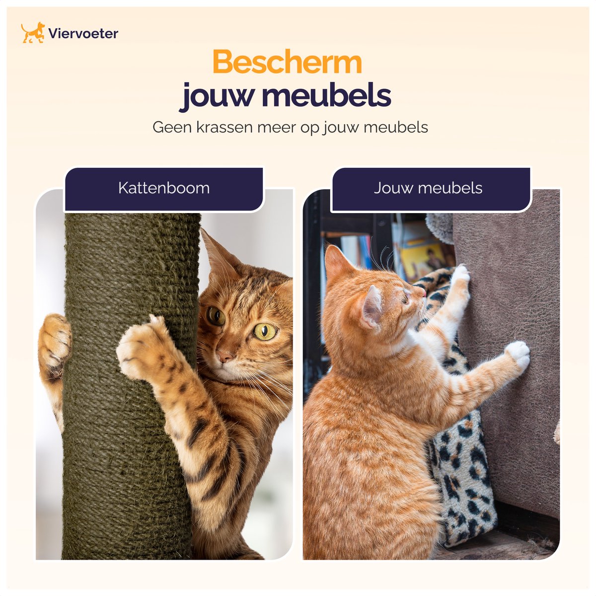 Kratzbaum mit Blättern 165x60x60