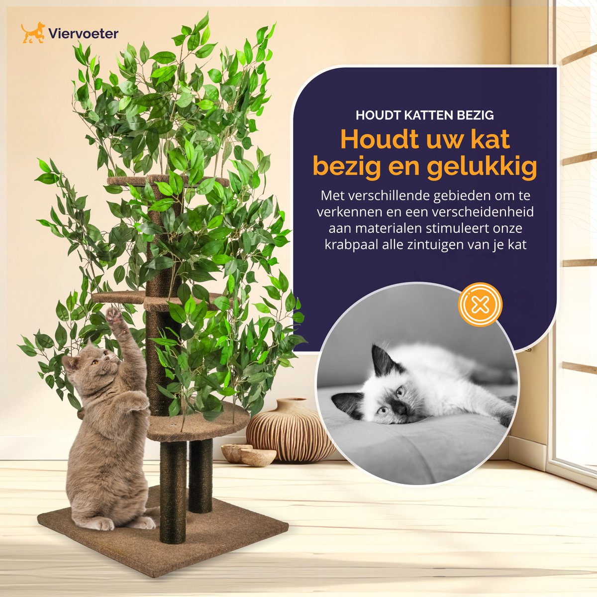 Kratzbaum mit Blättern 165x60x60